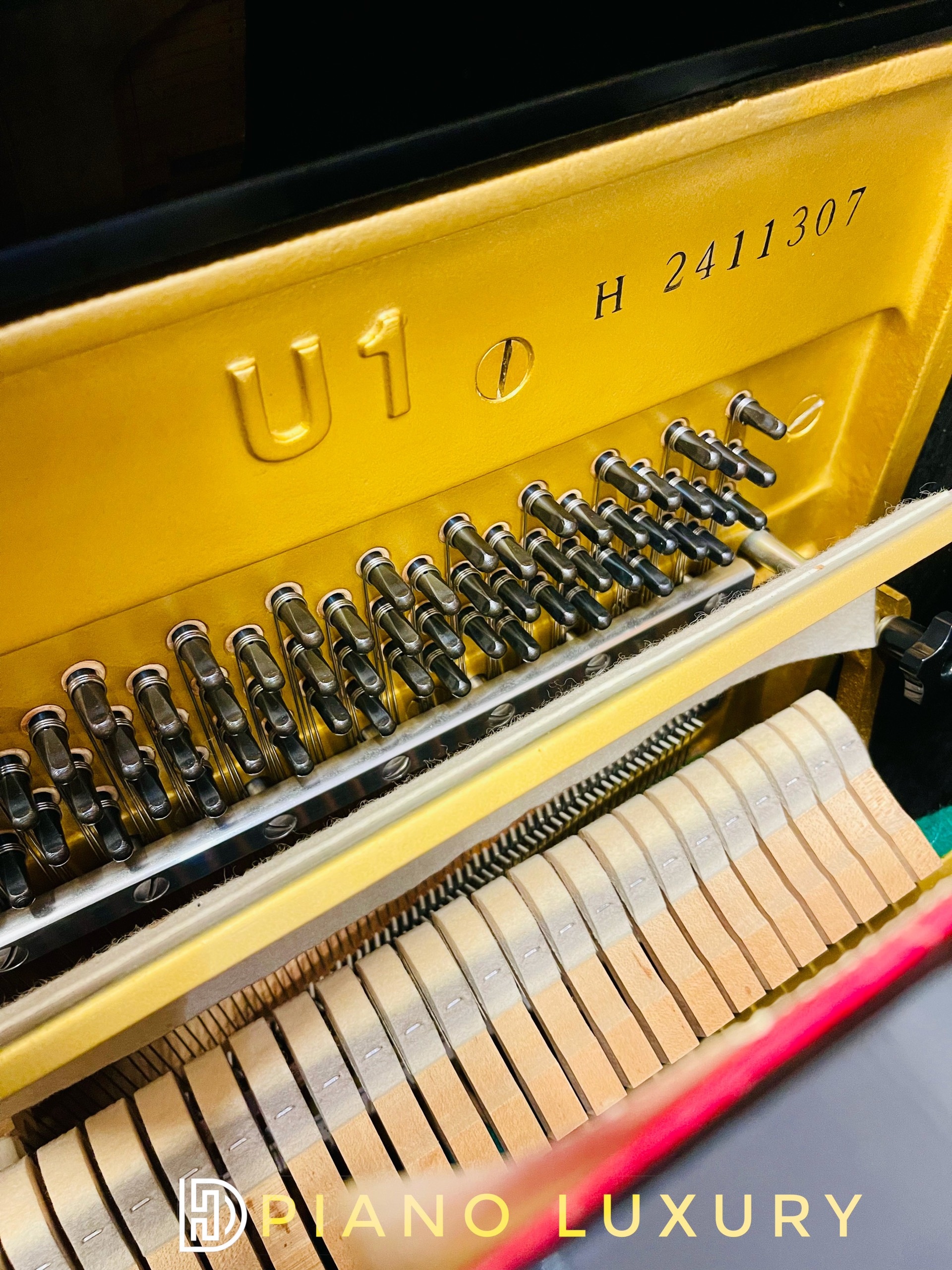 z4087613980854_a900c824f92c39fb9c04b26e8e122a39