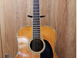 Guitar Acoustic Morris W-50