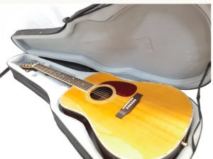 Guitar Acoustic Pro Martin W580N