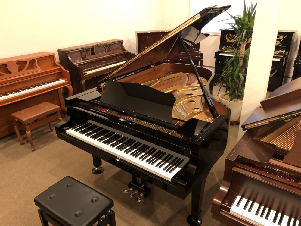 A273DB00-6300-414E-A310-06F2FF72E96A