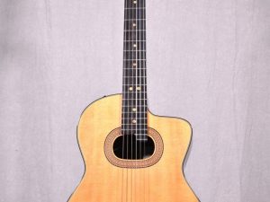 Đàn Guitar Takamine NPT-315