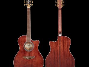 Guitar Acoustic DAngelico Excel Gramercy XT Walnut